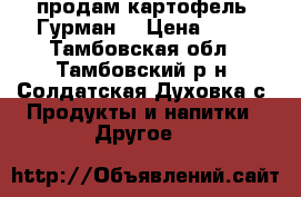 продам картофель “Гурман“ › Цена ­ 80 - Тамбовская обл., Тамбовский р-н, Солдатская Духовка с. Продукты и напитки » Другое   